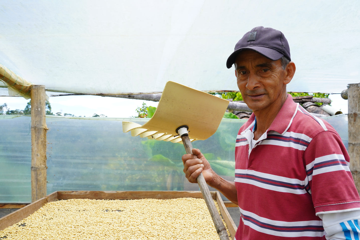 Single Origin Colombia