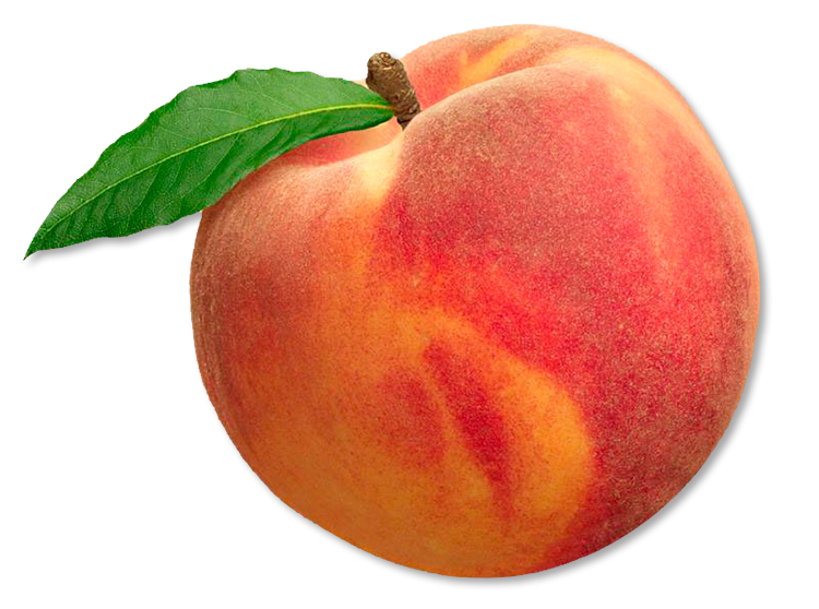Peach Coldfoam