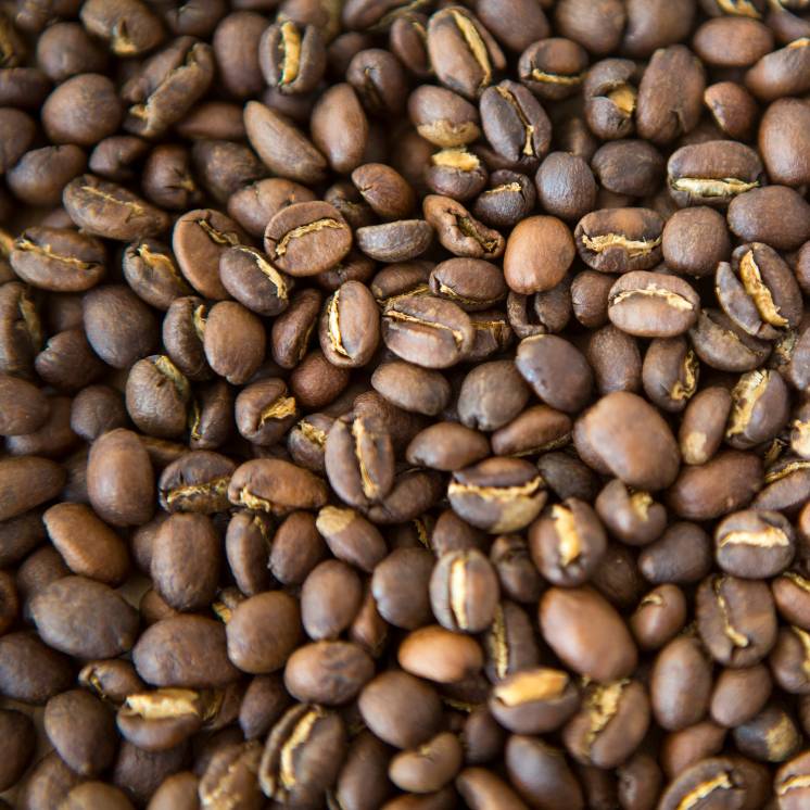 medium roasted ethiopian coffee beans