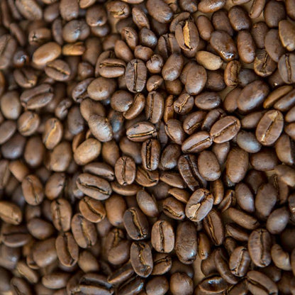 Haiti - Single Origin - Dawn Patrol